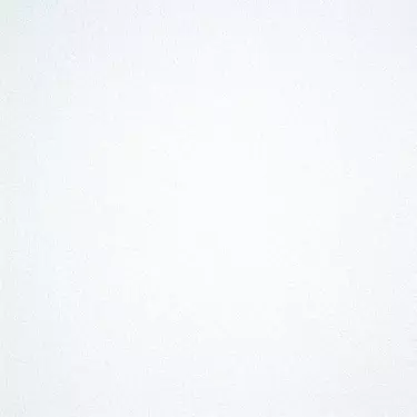 Kazetovy strop OWA Bolero